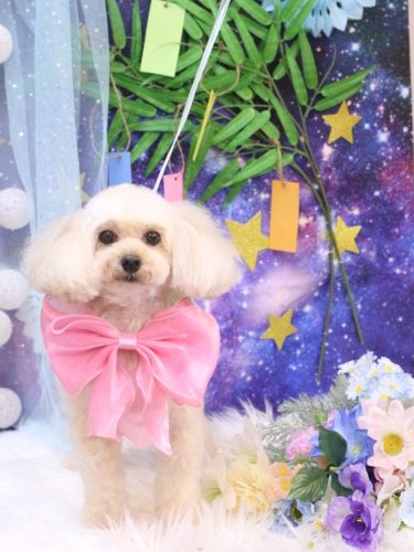 20250704リコちゃん